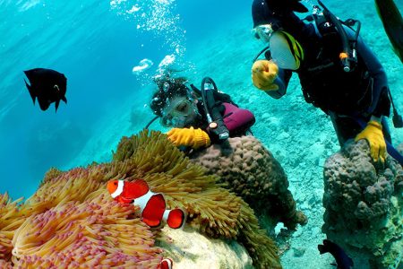 The Top 5 Snorkeling Spots in Malaysia